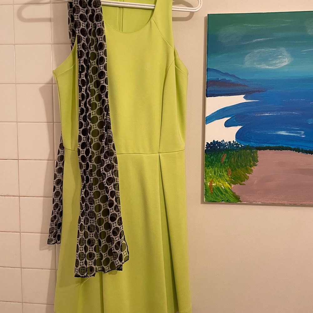 Beautiful brand name light green dress